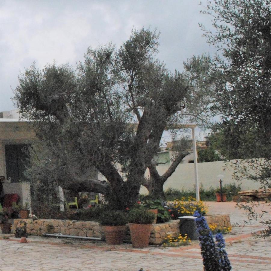 לינה וארוחת בוקר סאניקולה Microborgopasca מראה חיצוני תמונה