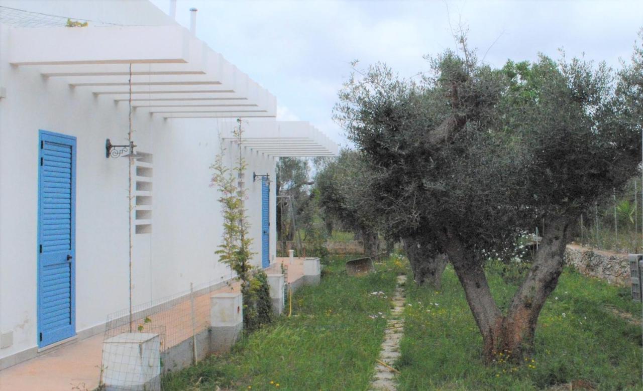 לינה וארוחת בוקר סאניקולה Microborgopasca מראה חיצוני תמונה